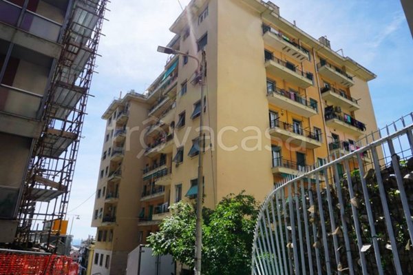 appartamento in vendita a Genova in zona Sampierdarena