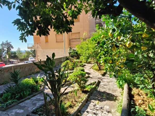 appartamento in vendita a Genova in zona Multedo