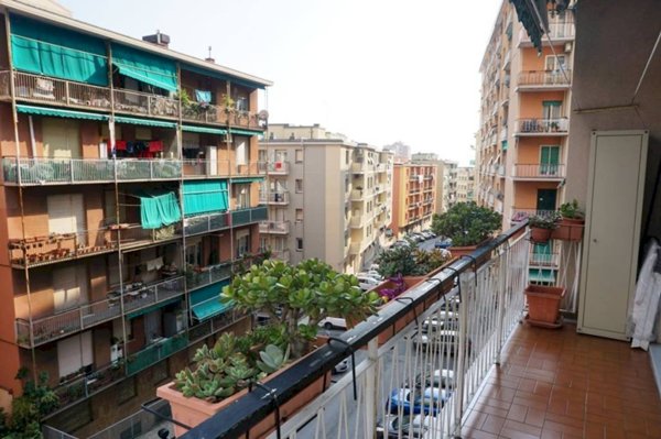 appartamento in vendita a Genova in zona Sampierdarena