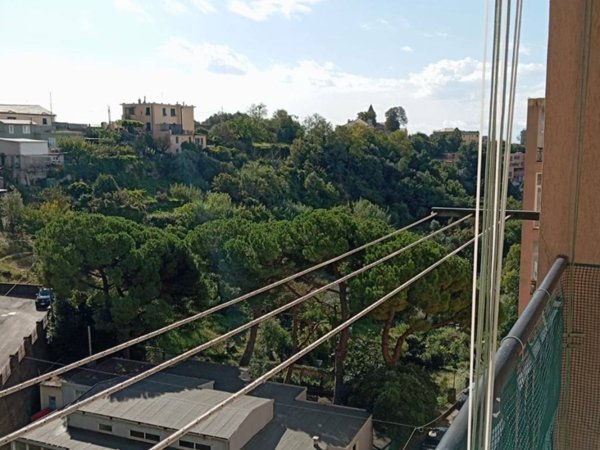 appartamento in vendita a Genova in zona Sampierdarena