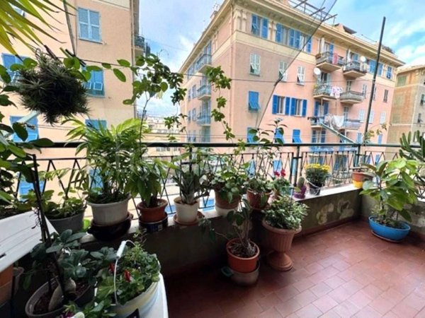 appartamento in vendita a Genova in zona Sampierdarena