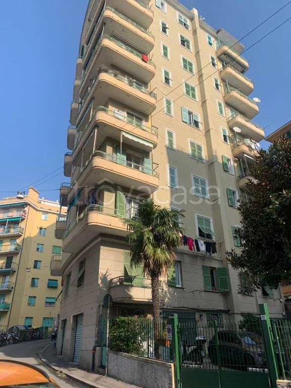appartamento in vendita a Genova in zona Sampierdarena