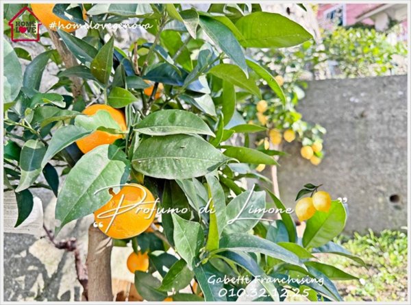 casa indipendente in vendita a Genova in zona Apparizione