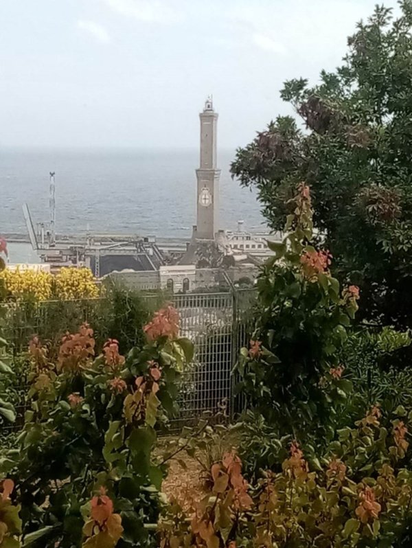 appartamento in vendita a Genova in zona Sampierdarena