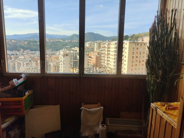 appartamento in vendita a Genova in zona Sampierdarena