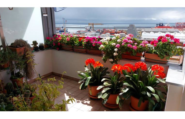 appartamento in vendita a Genova in zona Sampierdarena