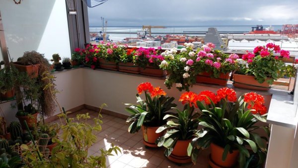 appartamento in vendita a Genova in zona Sampierdarena