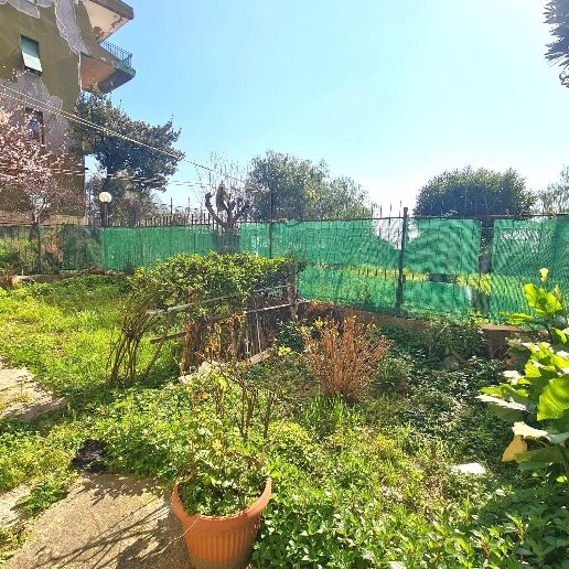 appartamento in vendita a Genova in zona Sampierdarena