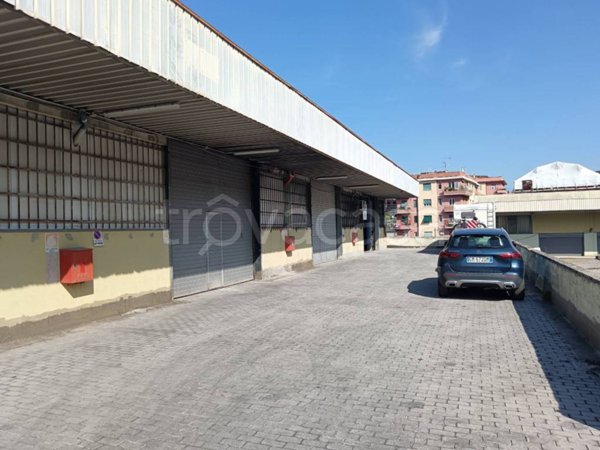 appartamento in vendita a Genova in zona Borzoli