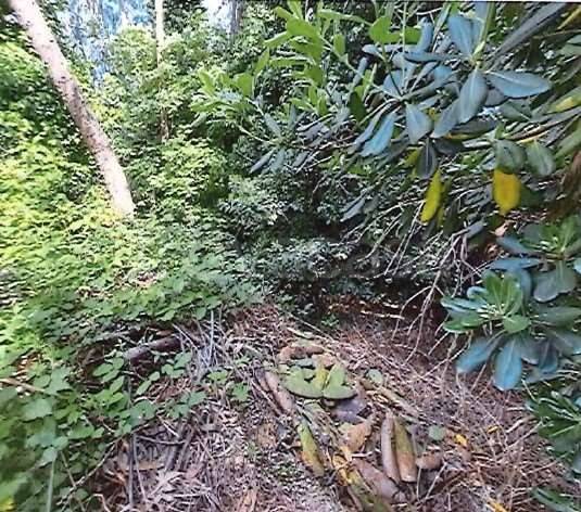 appartamento in vendita a Genova in zona Cornigliano