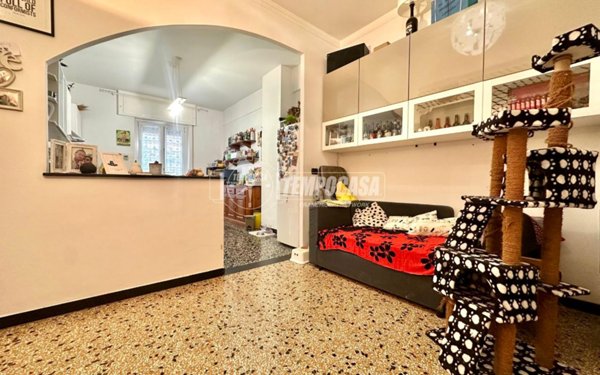 immagine annuncio 0 di 15