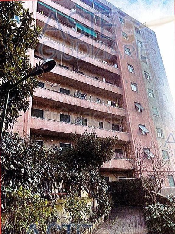 appartamento in vendita a Genova in zona Marassi