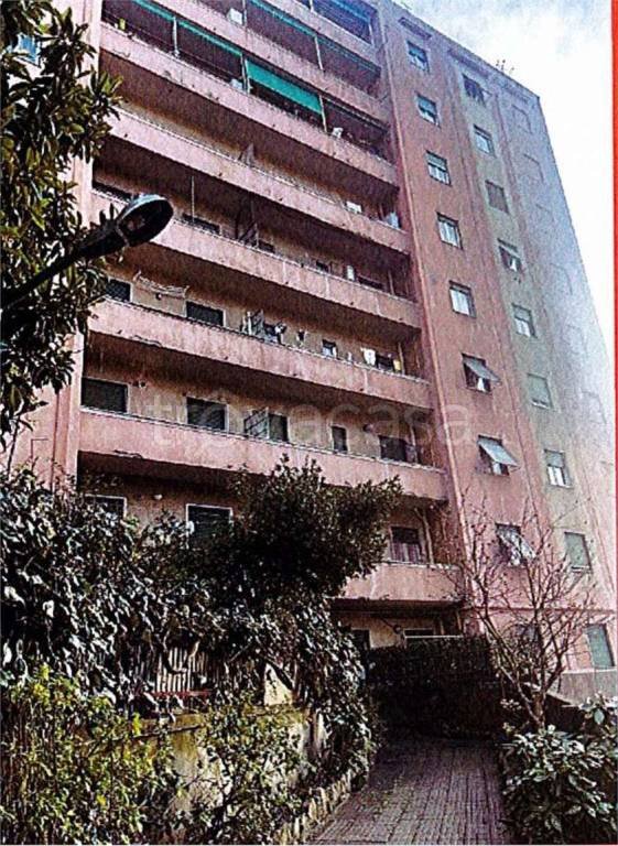 appartamento in vendita a Genova in zona Marassi