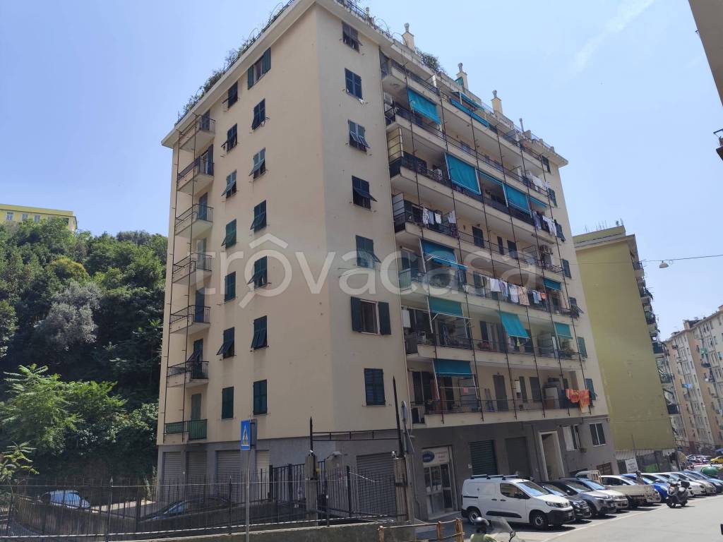 appartamento in vendita a Genova in zona Sampierdarena