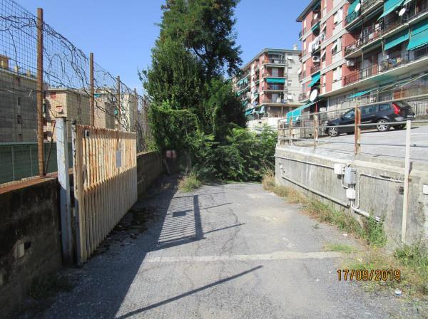 negozio in vendita a Genova in zona Palmaro / Pra'
