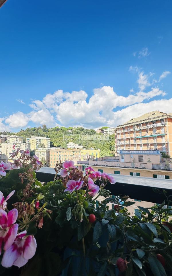 appartamento in vendita a Genova in zona Sampierdarena