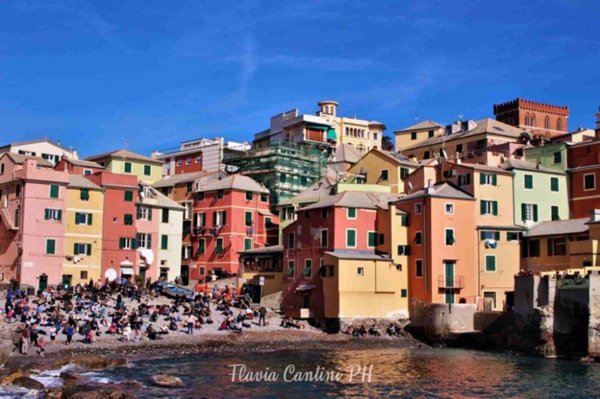 appartamento in vendita a Genova in zona Albaro