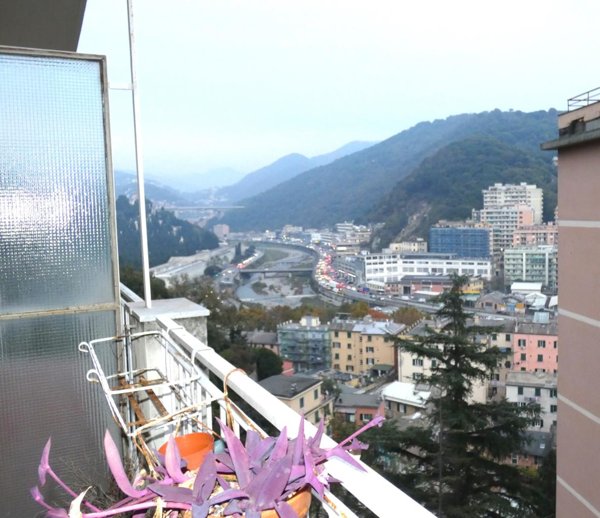 appartamento in vendita a Genova in zona Marassi