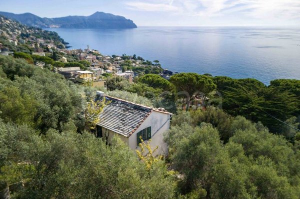 casa indipendente in vendita a Genova in zona Nervi