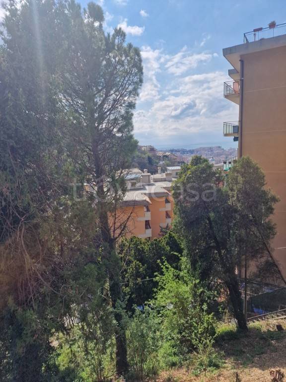 appartamento in vendita a Genova in zona Marassi