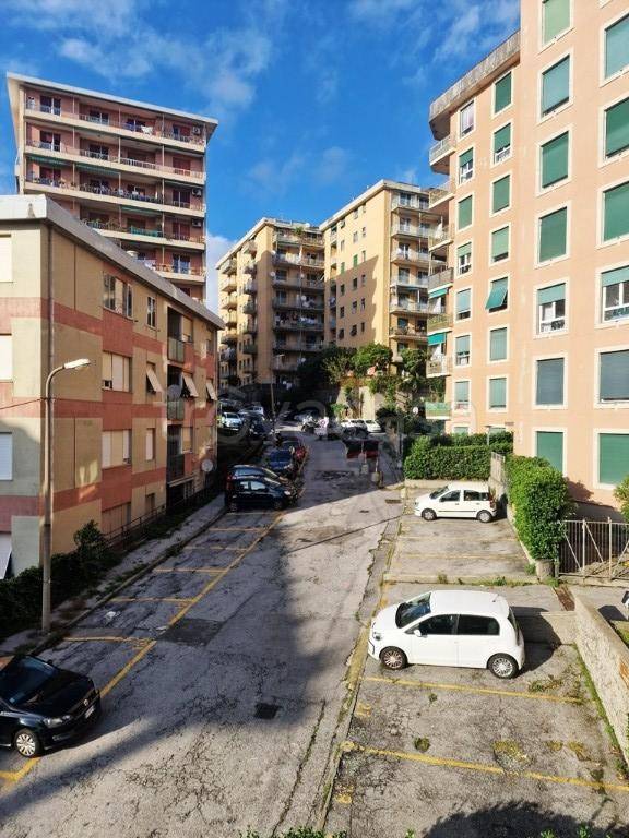 appartamento in vendita a Genova in zona Sampierdarena
