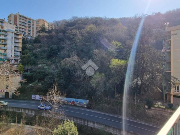 appartamento in vendita a Genova in zona Marassi