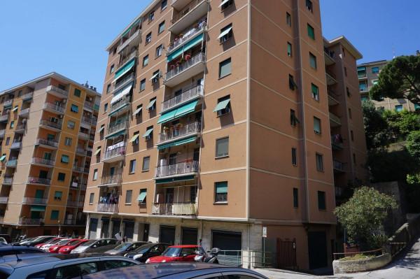 appartamento in vendita a Genova in zona Sampierdarena