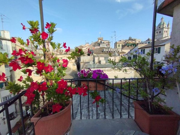 appartamento in vendita a Genova in zona Centro Storico