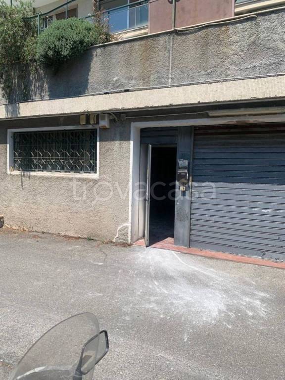 negozio in vendita a Genova in zona San Martino