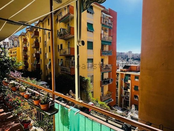 appartamento in vendita a Genova in zona Marassi