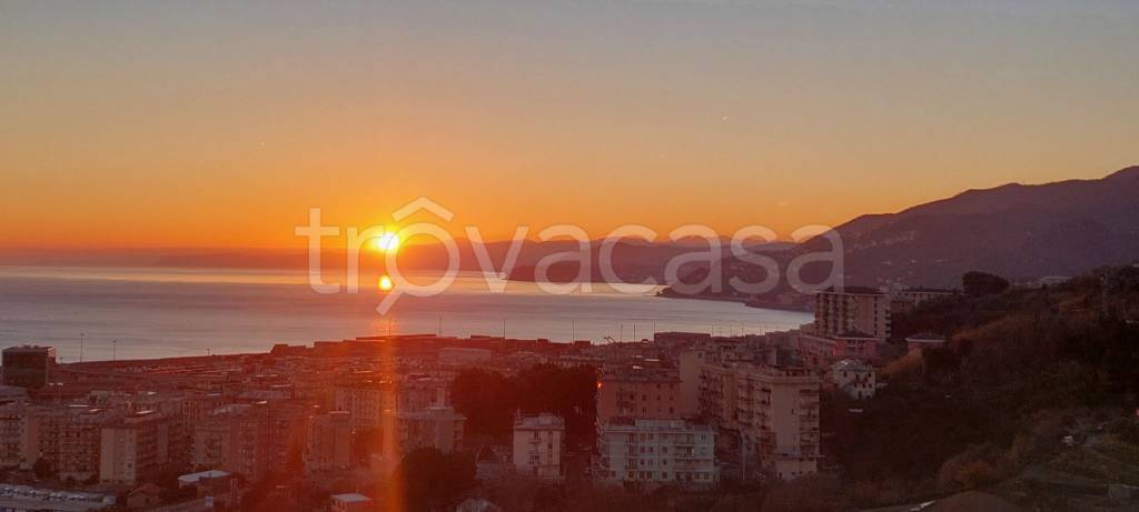 appartamento in vendita a Genova in zona Palmaro / Pra'