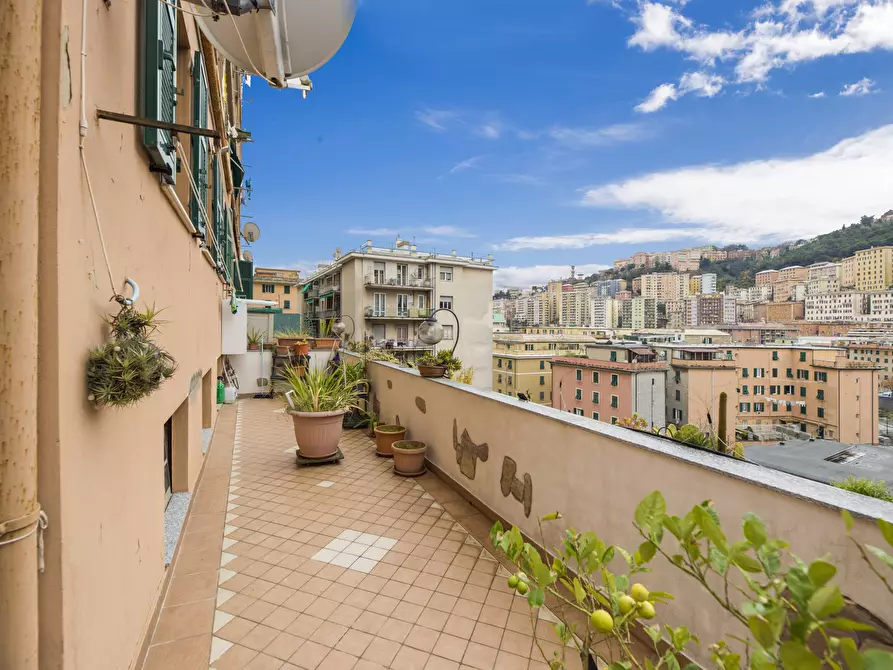 appartamento in vendita a Genova in zona Marassi