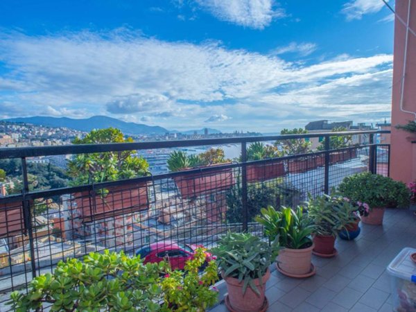 appartamento in vendita a Genova in zona DiNegro