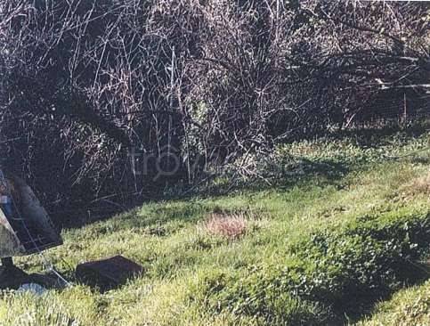 appartamento in vendita a Genova in zona Bolzaneto