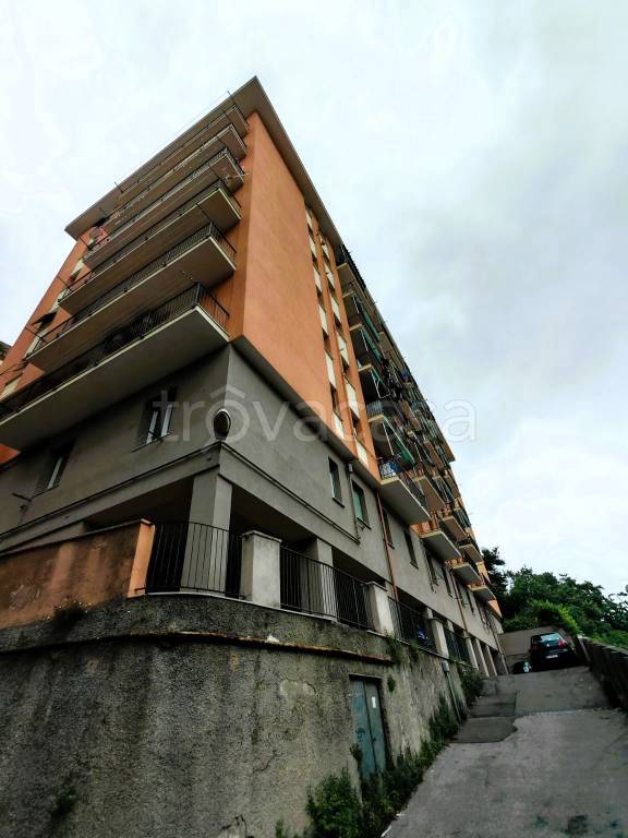 appartamento in vendita a Genova in zona Staglieno