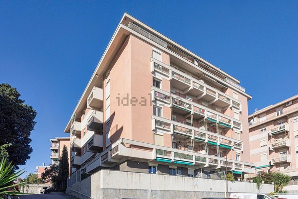 appartamento in vendita a Genova in zona DiNegro