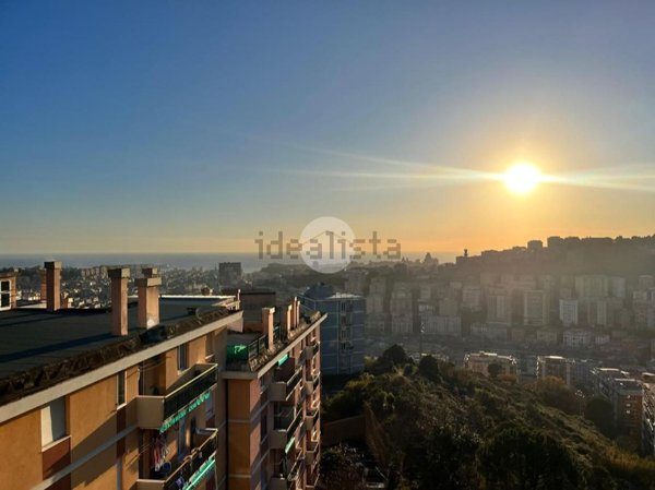 appartamento in vendita a Genova in zona Marassi