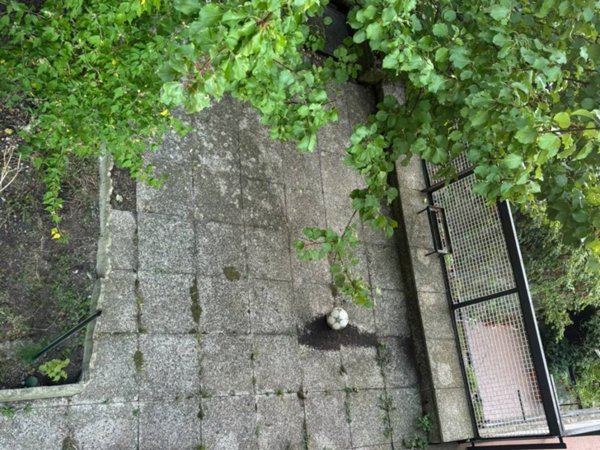 appartamento in vendita a Genova in zona Marassi