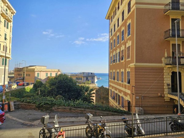 immagine annuncio 0 di 13