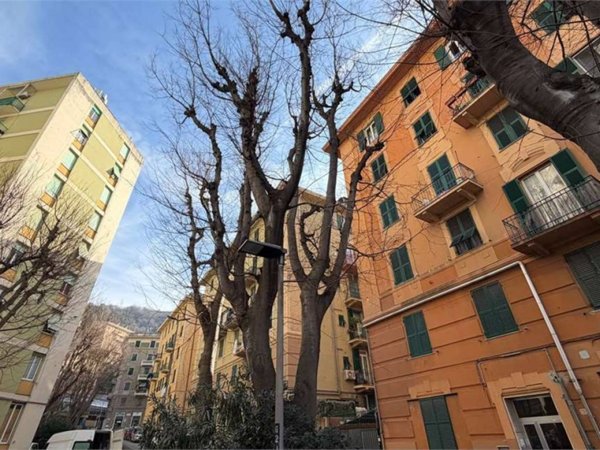 appartamento in vendita a Genova in zona Certosa