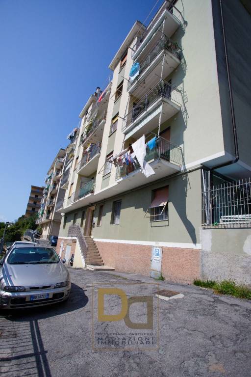 immagine annuncio 0 di 15