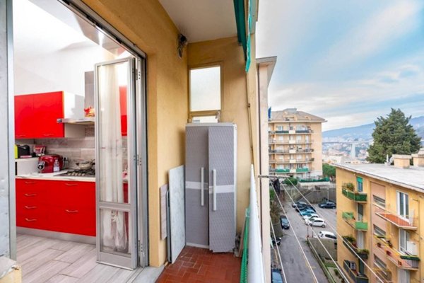 esavano in vendita a Genova in zona Molassana