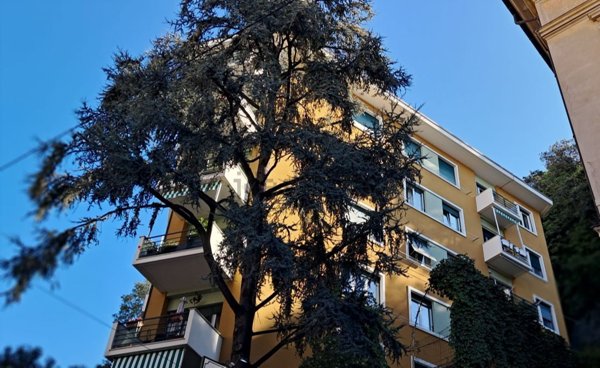 appartamento in vendita a Genova in zona Centro Storico