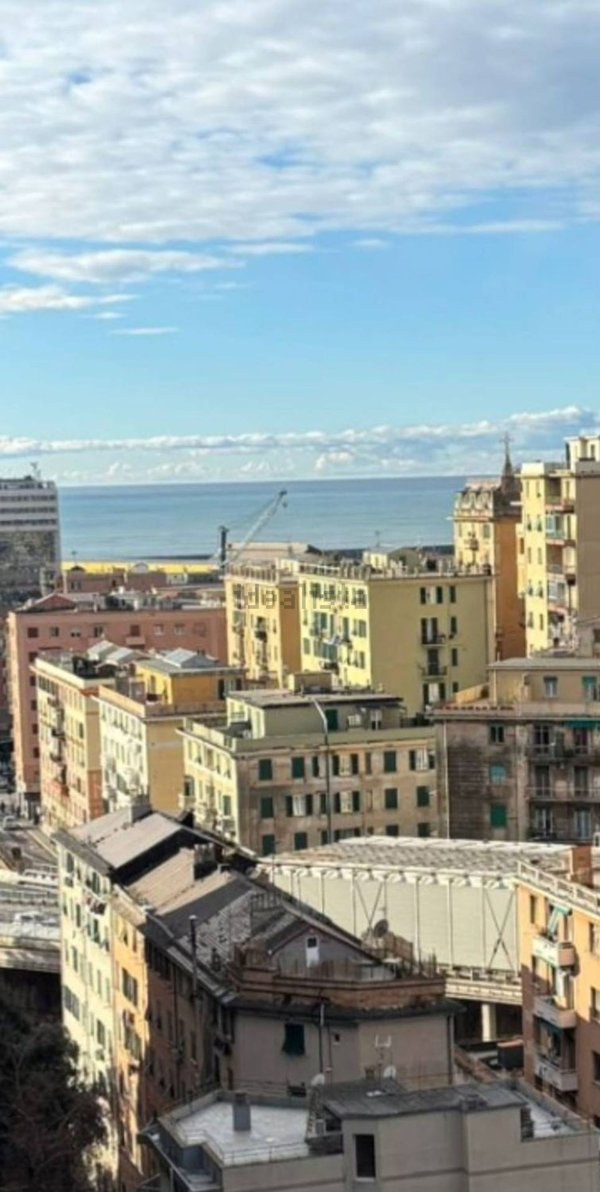 appartamento in vendita a Genova in zona Sampierdarena