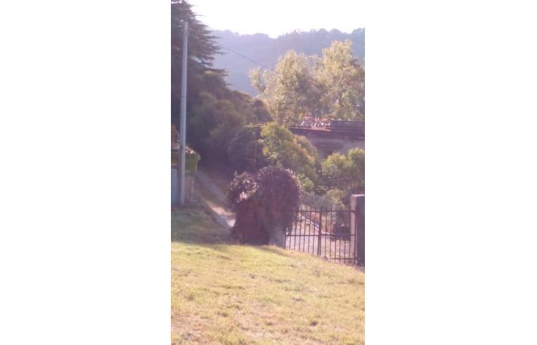 terreno agricolo in vendita a Genova in zona Bolzaneto
