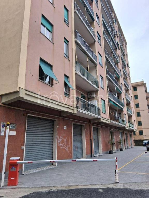 appartamento in vendita a Genova in zona Marassi