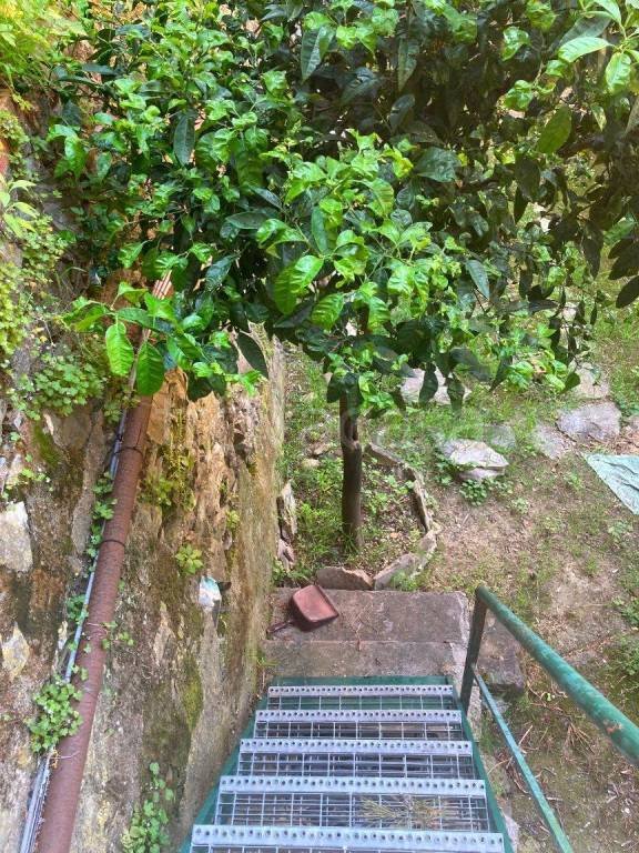 appartamento in vendita a Genova in zona Nervi