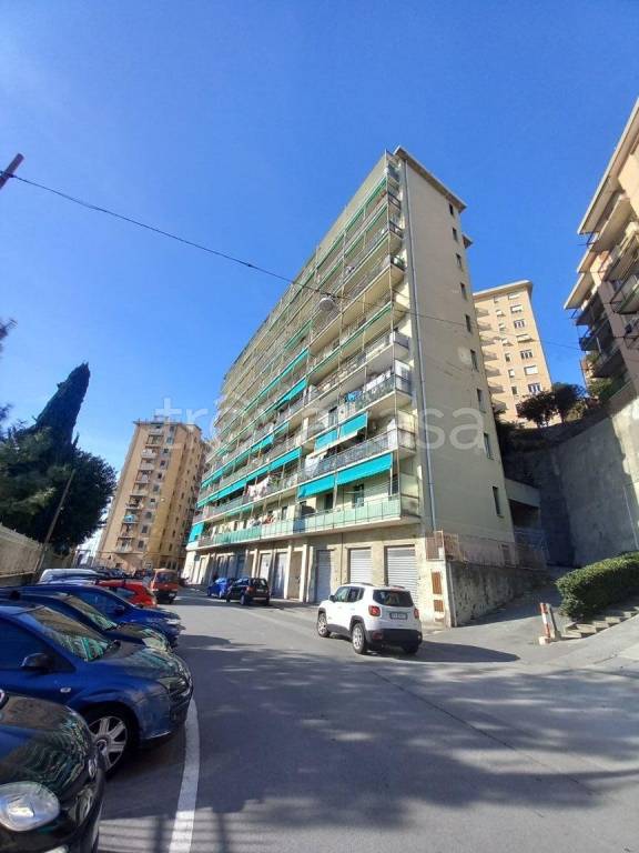 appartamento in vendita a Genova in zona Sampierdarena