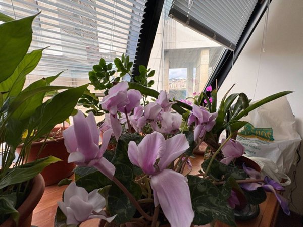 ufficio in vendita a Genova