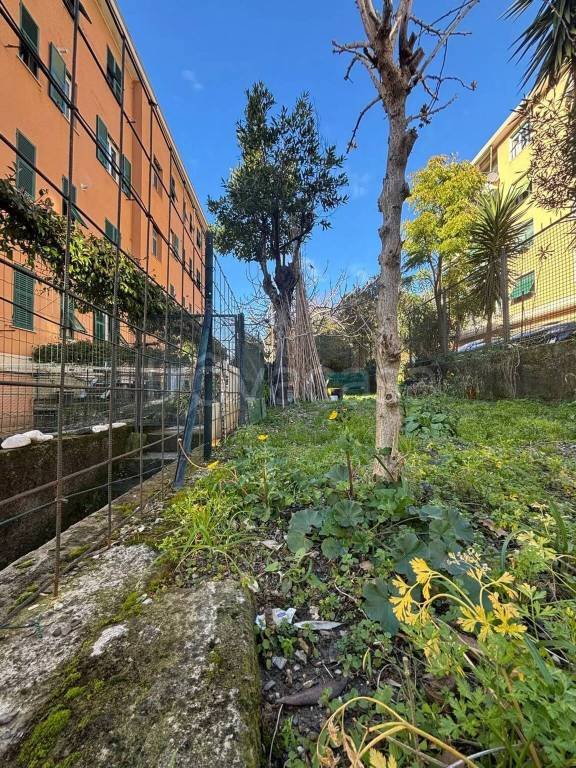 appartamento in vendita a Genova in zona Rivarolo